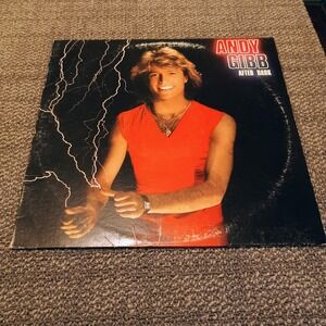 Andy Gibb After Dark Vinyl Record Album LP RSO RS-1-3069 1980 Pop Disco